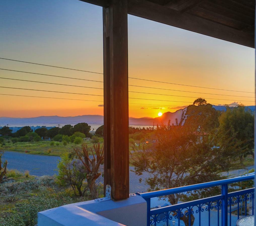 Villa Amor Πεύκος Εξωτερικό φωτογραφία